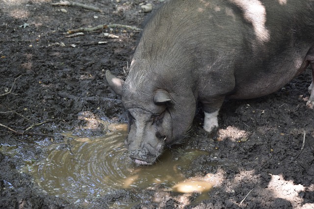反应速度 反应速度