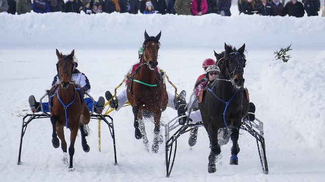 比赛中突然 比赛中突然