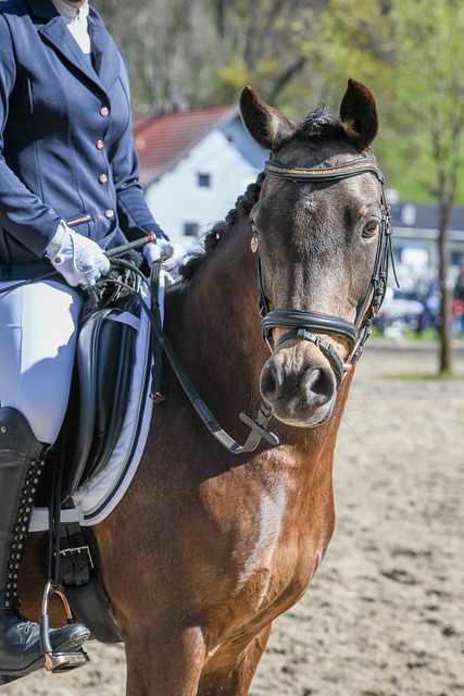 也是对中国 也是对中国