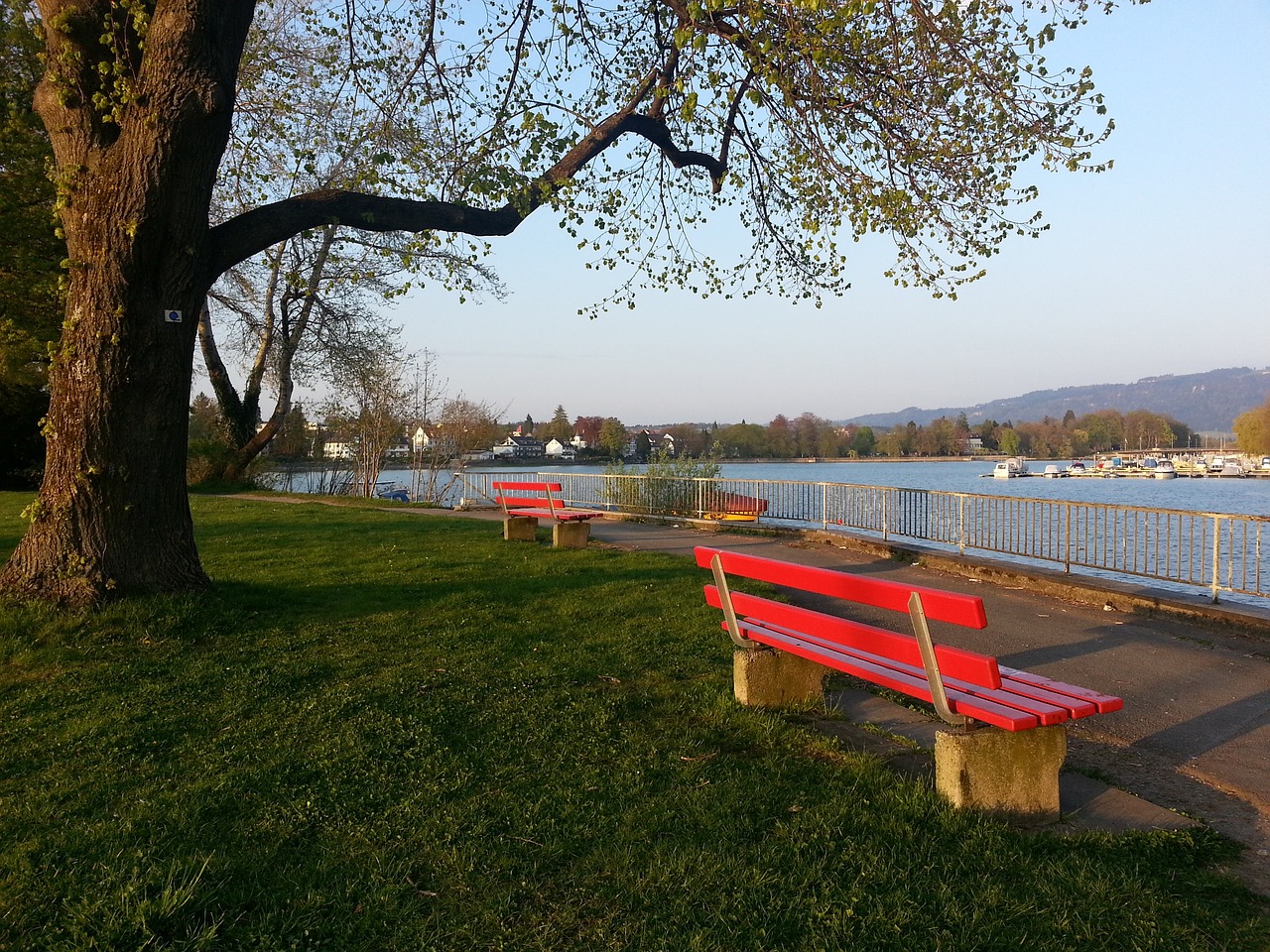 我们不难发 我们不难发