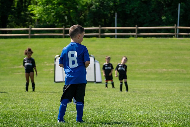 包括国内联 包括国内联