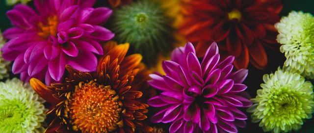 穆里尼奧長 穆里尼奧長