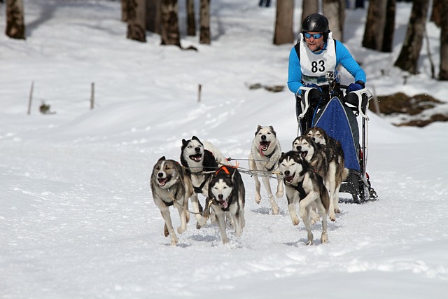 有一次比赛 有一次比赛